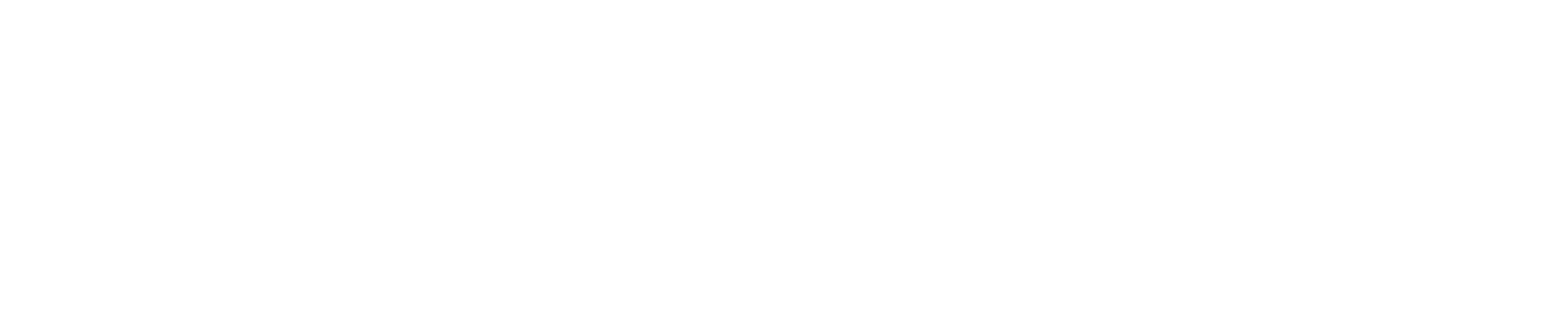 European Project